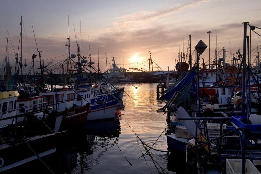 6-Day Tour of Southern Ireland from Dublin - The Ring of Kerry by coach