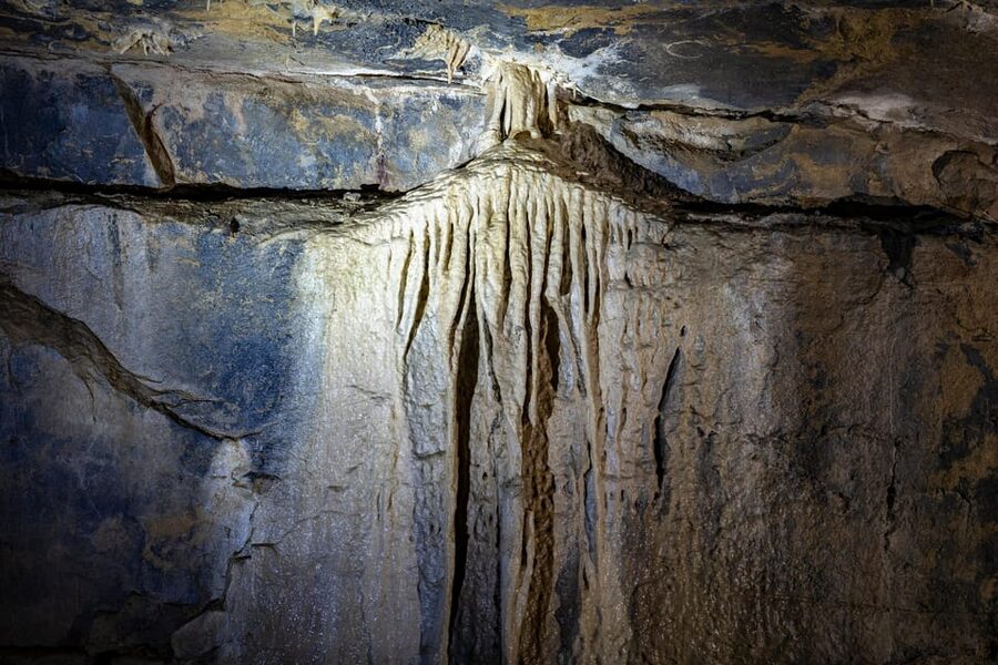 Ballyvaughan: Aillwee Burren Experience Entry Ticket - Booking and cancellation details