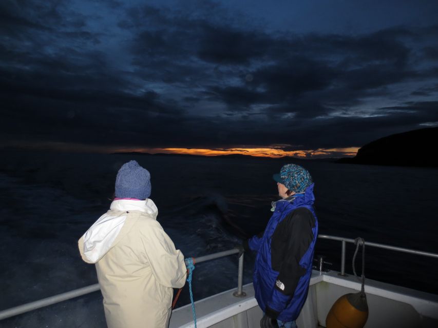 Baltimore Harbor: Sunset Cruise to Fastnet Rock Lighthouse - Who will enjoy the Wave Chieftain most?