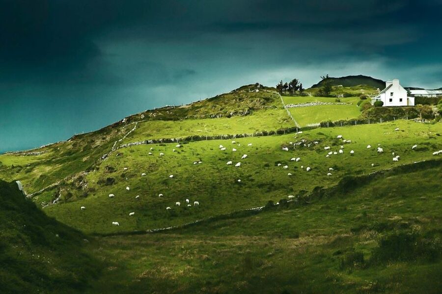 Best of Ireland 6-Day Backpackers Economy Tour - Day 1: Dublin to Belfast and the Titanic story