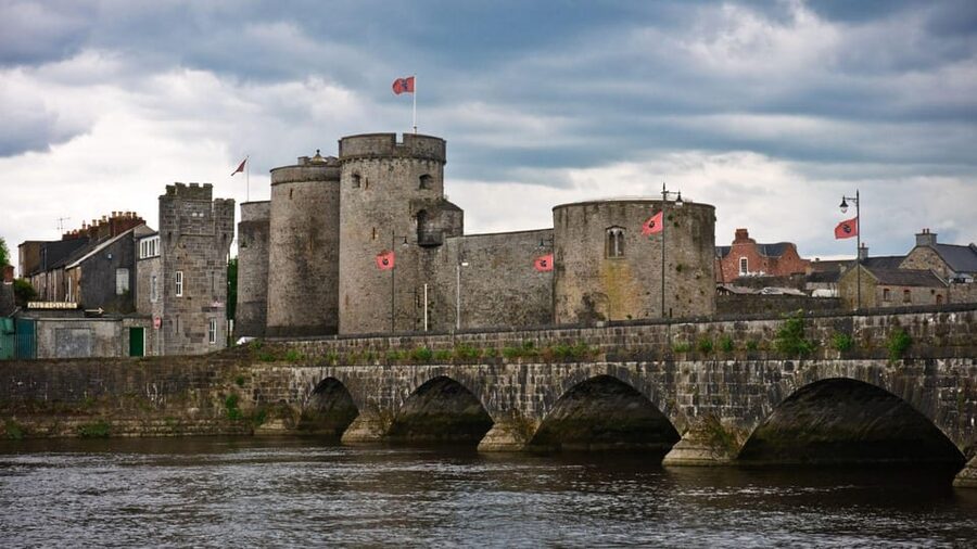 Best of Limerick: Private Walking Tour with a Local - What the guide’s role is really like
