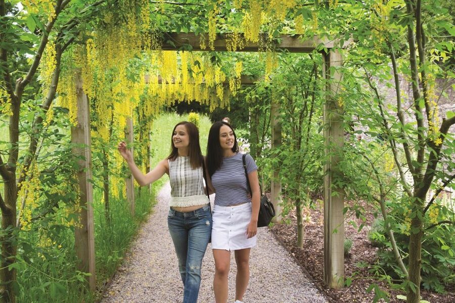 Blarney Castle Full-Day Tour from Dublin - Key points to know before booking