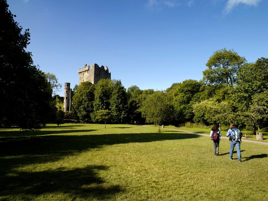 Blarney Castle Full-Day Tour from Dublin - A long road south from Dublin