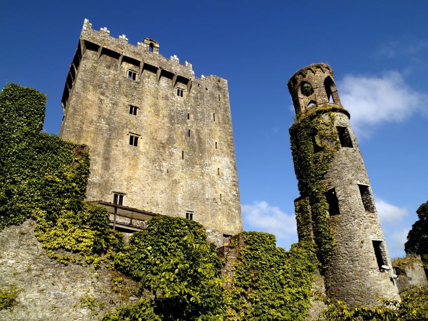 Blarney Castle Full-Day Tour from Dublin - Who should book this day trip?