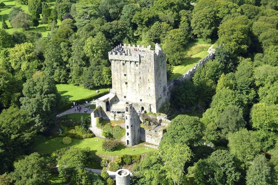 Blarney Castle Full-Day Tour from Dublin - Should you book the Blarney Castle day tour?