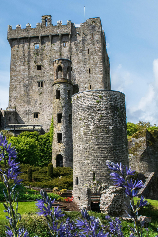 Blarney Castle: Private Guided Day Tour from Dublin - Key points to know before booking