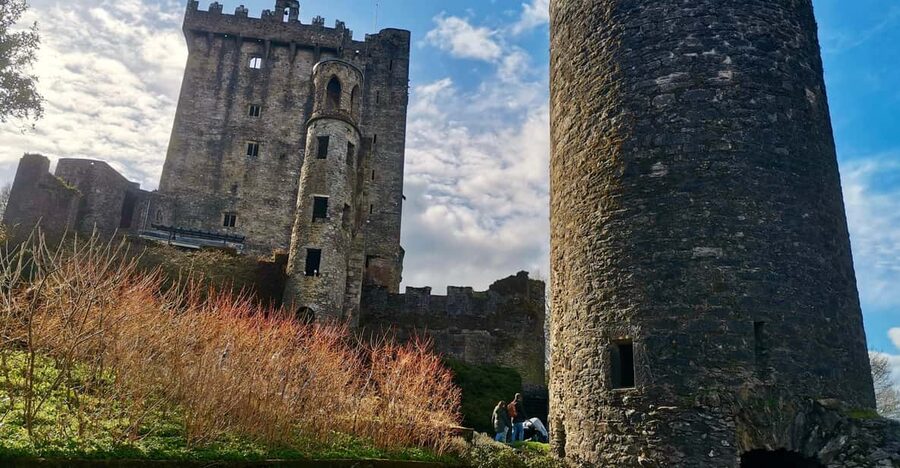 Blarney Castle: Private Guided Day Tour from Dublin - Who should book this experience