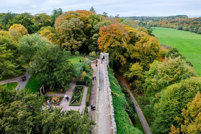 Blarney, Rock of Cashel & Cahir Castles Day Tour From Dublin - The guide can make or break the long ride