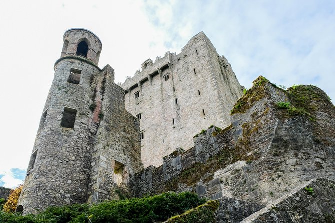 Blarney, Rock of Cashel & Cahir Castles Day Tour From Dublin - Who should take this tour?
