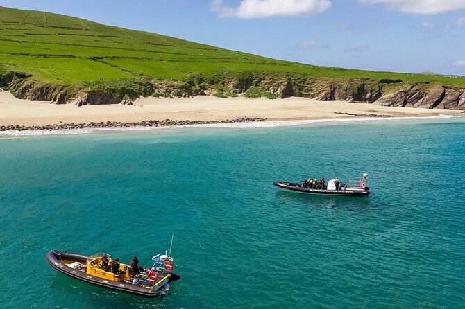 Blasket Island Sea Life Rib Tour, - Key points to know before you book
