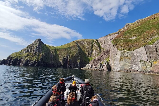 Blasket Island Sea Life Rib Tour, - Wildlife watching around Dingle Bay