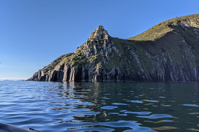 Boat Tour of Dingle Peninsula - What you see during the hour on Dingle Bay