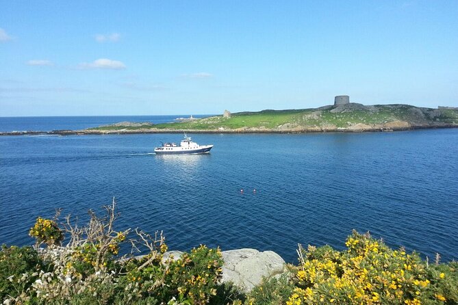 Boat Trip from Dublin City to Dun Laoghaire - Comfort, weather, and the group size