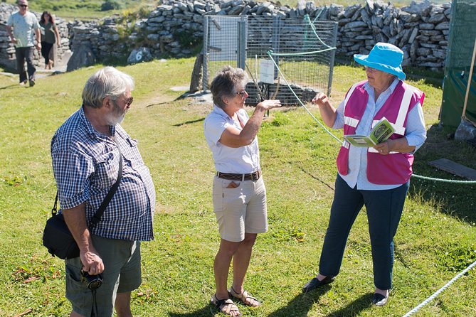 Caherconnell Fort & Sheepdog Demonstrations - Inside the stone fort: more than a quick photo stop