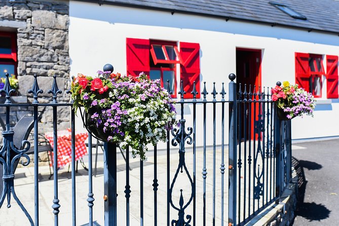 Caherconnell Fort & Sheepdog Demonstrations - How to fit it into a Burren day