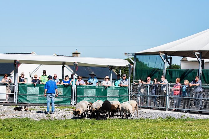 Caherconnell Fort & Sheepdog Demonstrations - Booking, cancellation, and small practical details