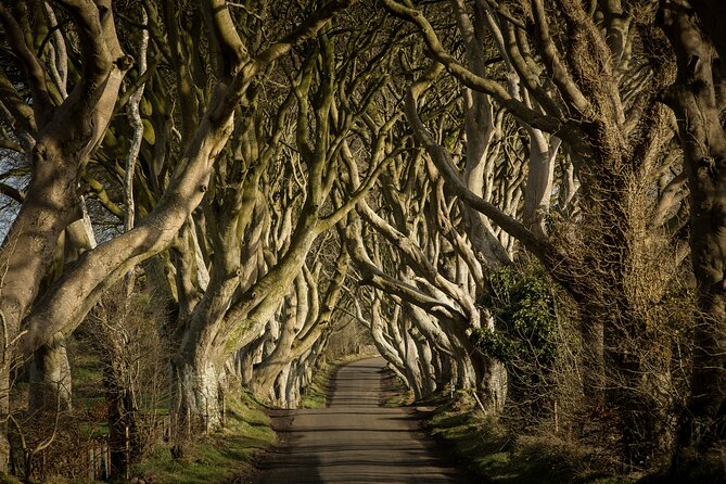Chauffeur Giants Causeway & Belfast Private Day Tour From Dublin - Ballintoy is the right place for lunch