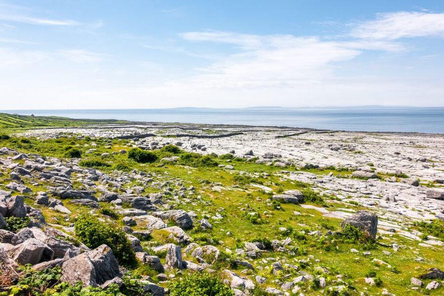 Cliffs of Moher Full-Day Tour from Dublin - The guide can make or break the long day