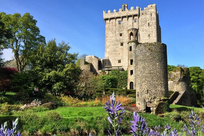 Cobh (Cork) to Blarney Castle & Kinsale - Shore Excursion - Kinsale gives the day its most relaxed walk