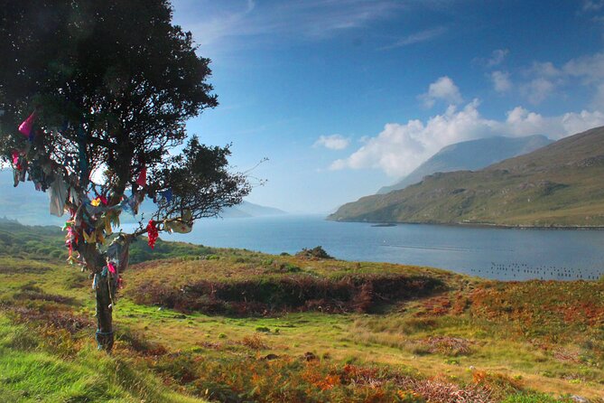 Connemara Day Trip Including Leenane Village and Kylemore Abbey from Galway - Is the $60.46 price good value?