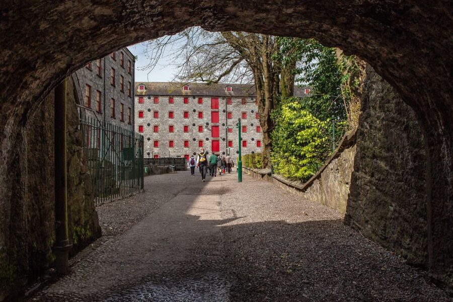 Cork: Jameson Irish Whiskey & Midleton Distillery Experience - Starting with the story of Irish whiskey