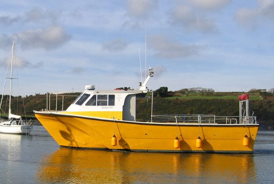 County Cork: Whale & Dolphin Watching Boat Trip - Outdoor views and indoor shelter