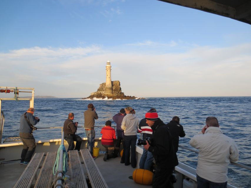 County Cork: Whale & Dolphin Watching Boat Trip - Weather, sea conditions, and the luck factor