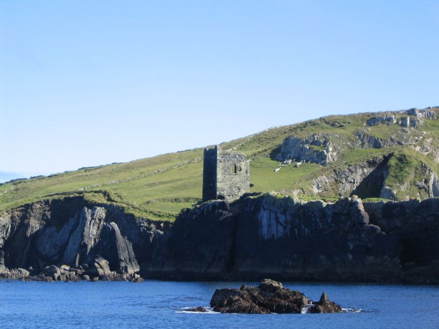 County Cork: Whale & Dolphin Watching Boat Trip - Finding dolphins, seals, and offshore birds