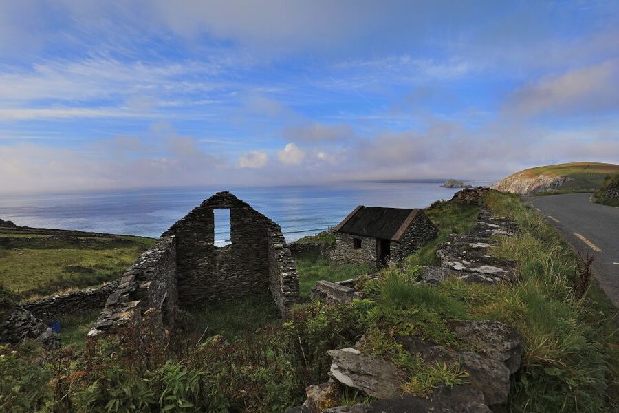 Dingle Day Tour from Limerick - Key points to know before booking