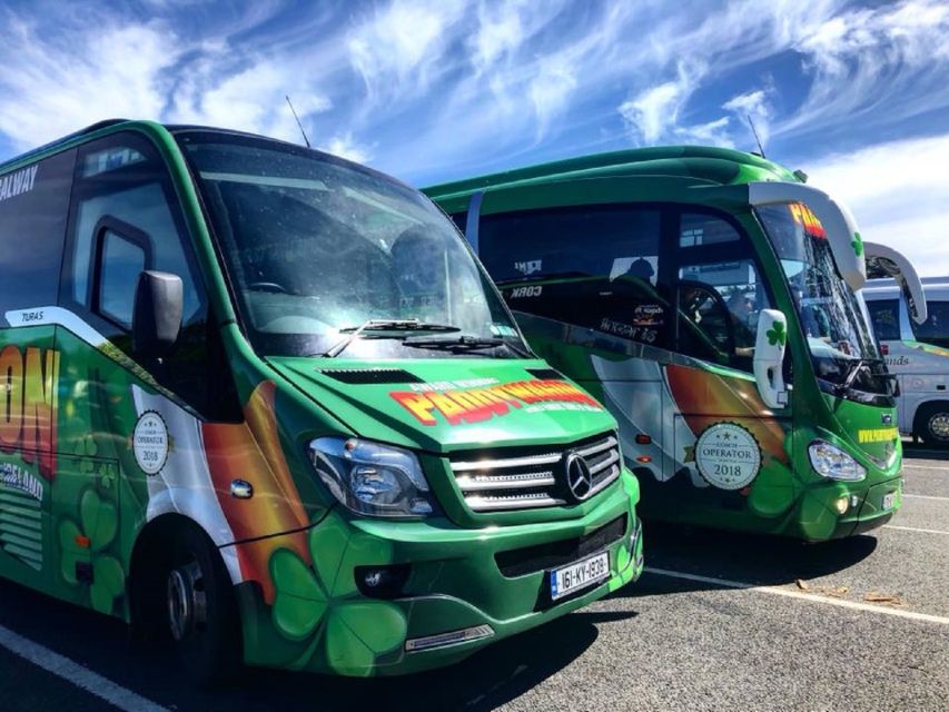 Dingle Day Tour from Limerick - From Limerick through Adare and County Kerry