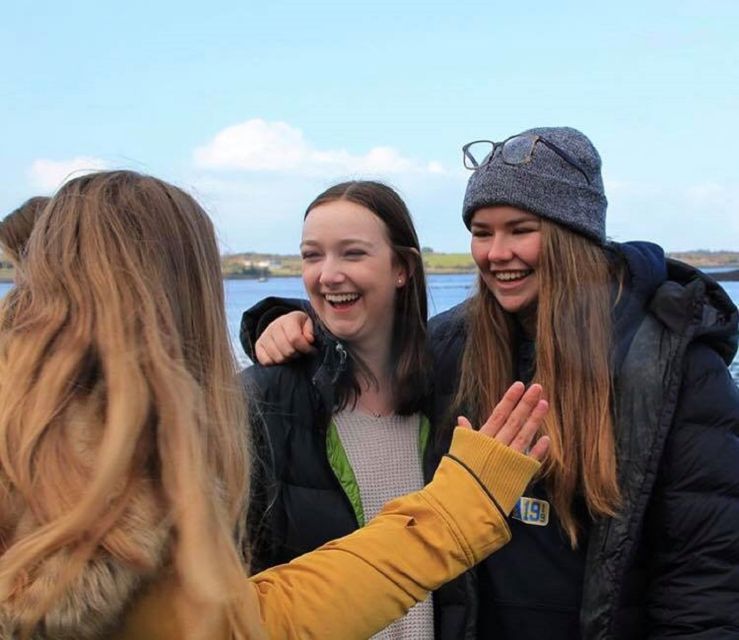 Dingle Day Tour from Limerick - The return to Limerick