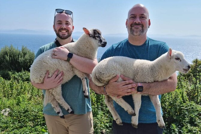 Dingle: Hour Slea Head Drive Tour 4hr - Personal Chauffeur Guide - Slea Head Point and the Blasket Islands