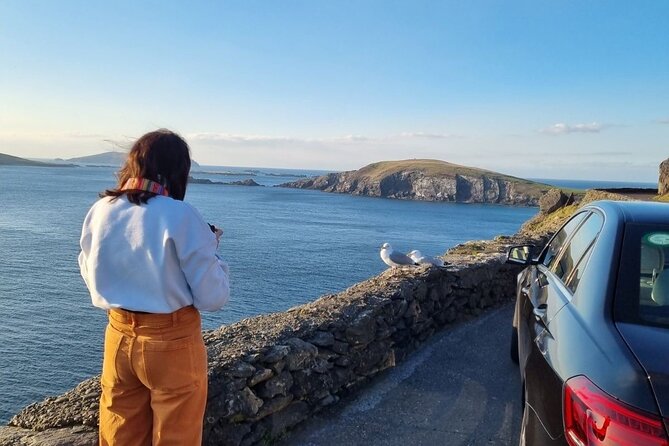 Dingle: Hour Slea Head Drive Tour 4hr - Personal Chauffeur Guide - Eask Tower and the first view of Dingle Bay