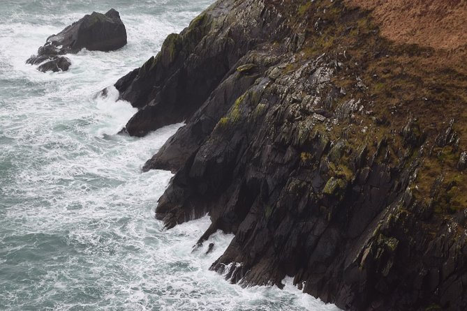 Dingle Peninsula and Slea Head Drive Group Tour - Beehive huts and a baby lamb for €4