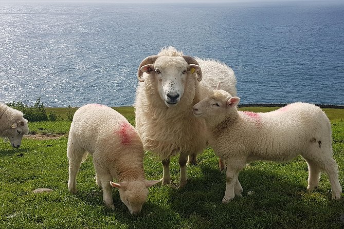 Dingle Peninsula and Slea Head Drive Group Tour - Coumeenoole Beach and the power of the coast