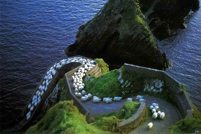Dingle Peninsula Four Hour Private Tour - Why a private four-hour tour works well in Dingle