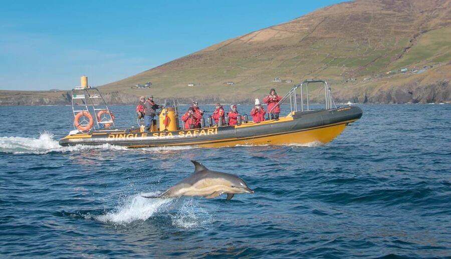 Dingle: Sea Safari by RIB Boat - Cliffs, caves, and West Kerry rock formations