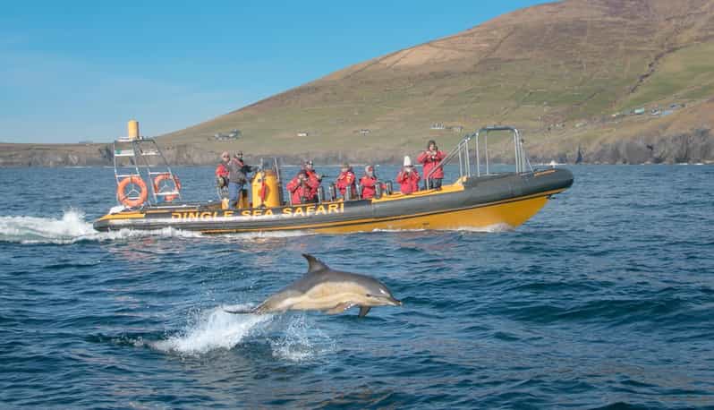 Dingle: Sea Safari by RIB Boat - Great Blasket Island from the water