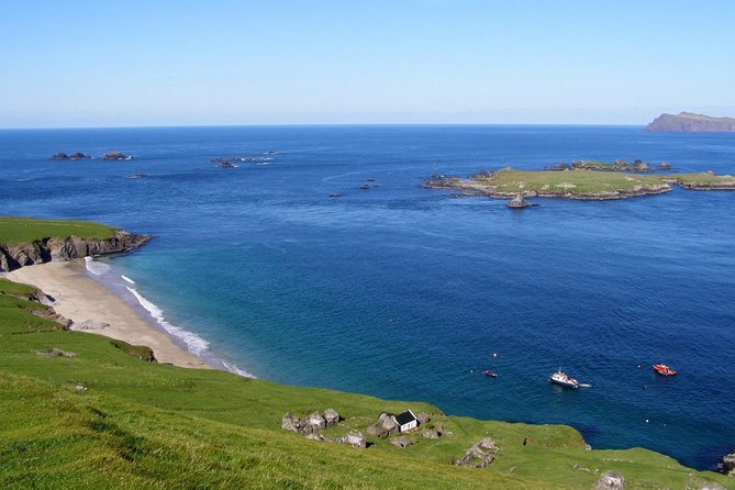 Dolphin and Whale Watching Tour from Dingle - The M.V. Blasket Princess and the best place to sit