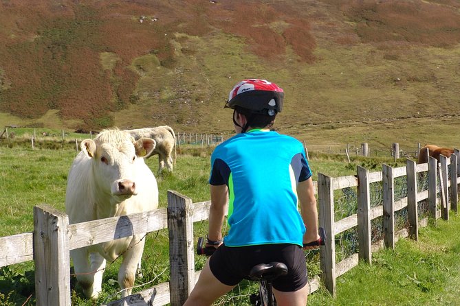 Donegal Coast One Day Self-Guided E-Bike Tour - Slieve League: the day’s great reward
