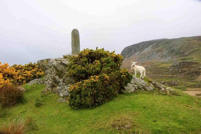 Donegal Coast One Day Self-Guided E-Bike Tour - Glencolmcille Folk Village for local life and craft