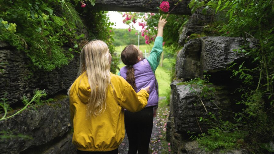 Doolin Cave Tour: Experience Europe's Largest Stalactite - The limestone setting around the main chamber