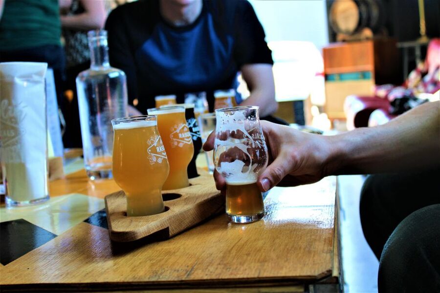 Dublin: Authentic Brewery Tour - The Rascals story begins in New Zealand