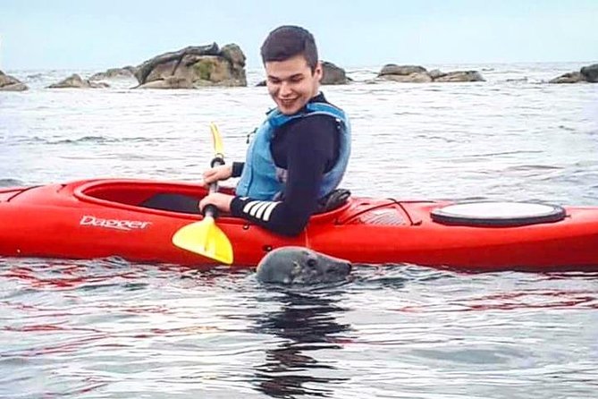 Dublin Bay Seal Kayaking Safari at Dalkey - Paddling out along the Dalkey coastline