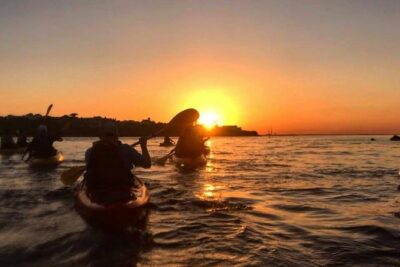 Dublin Bay Seal Kayaking Safari at Dalkey