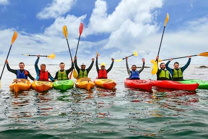 Dublin Bay Seal Kayaking Safari at Dalkey - Who will enjoy this most