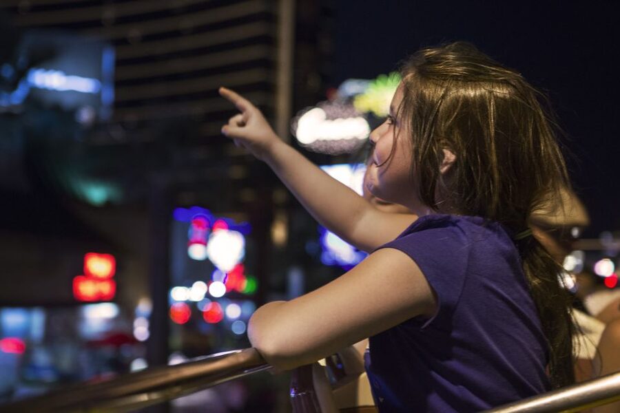 Dublin: Big Bus Panoramic Night Tour with Live Guide - Key points to know before you book