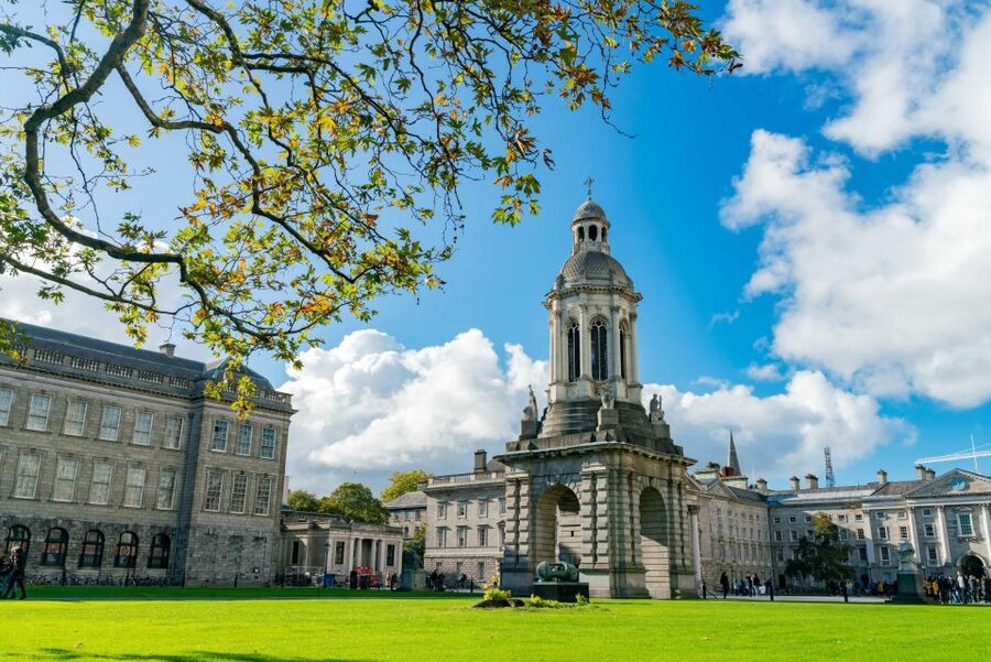 Dublin City Walking Tour, Vikings, St. Partick, Highlights - Key points to know before booking