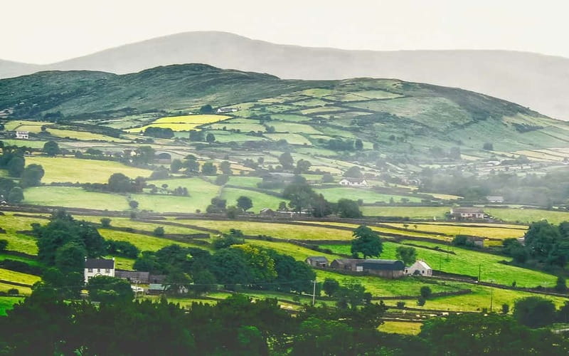Dublin: Cliffs of Moher, Bunratty Castle and Ennis Day Trip - Is this $56 day trip worth booking?