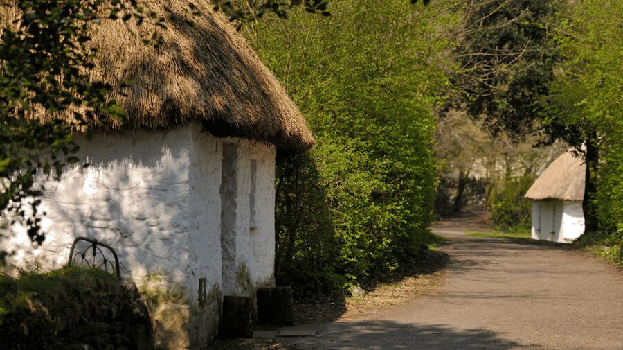 Dublin: Cliffs of Moher, Ennis, & Bunratty Castle Day Tour - Should you book the Dublin to Cliffs of Moher tour?